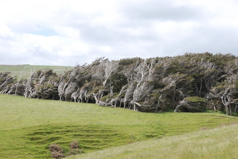 Neuseeland 2013 001