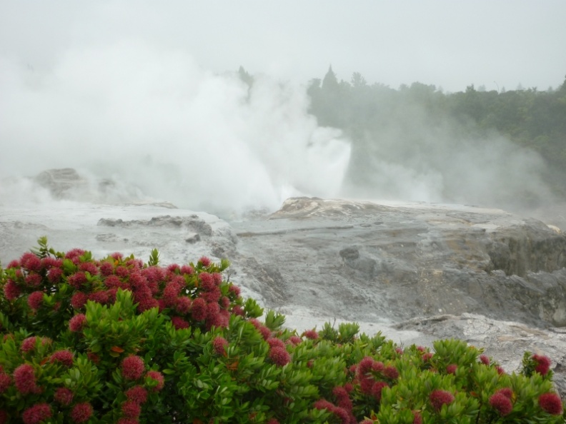 Neuseeland 2013 016