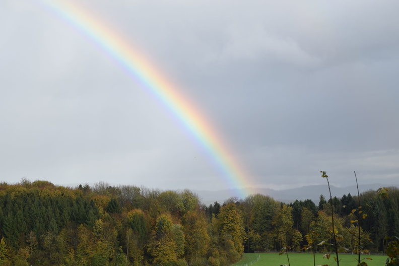 regenbogen 09