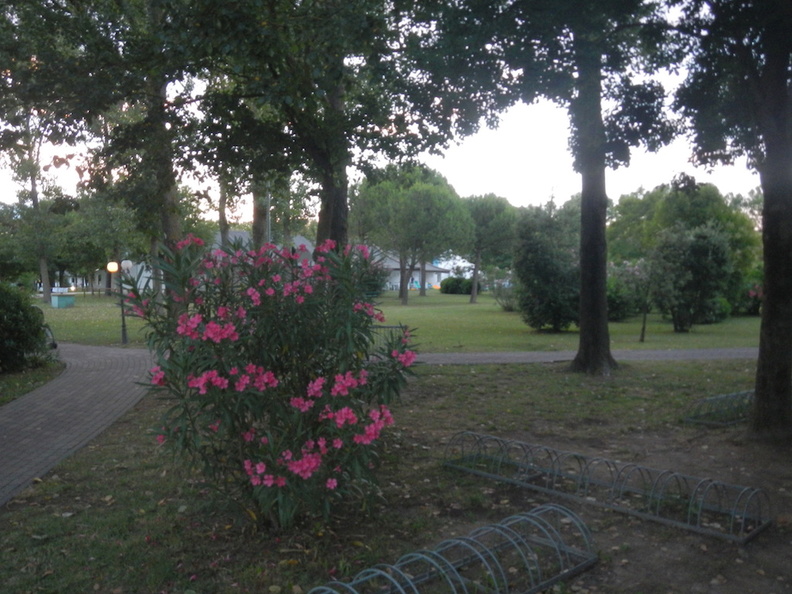 Camping-Caorle 024