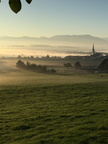 Sins im Nebel