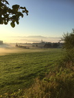 Sins im Nebel