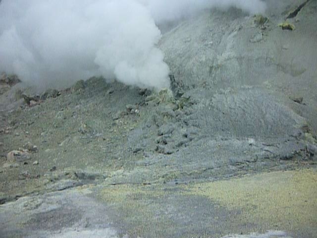 Neuseeland 2013 026